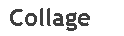 Text Box: Collage